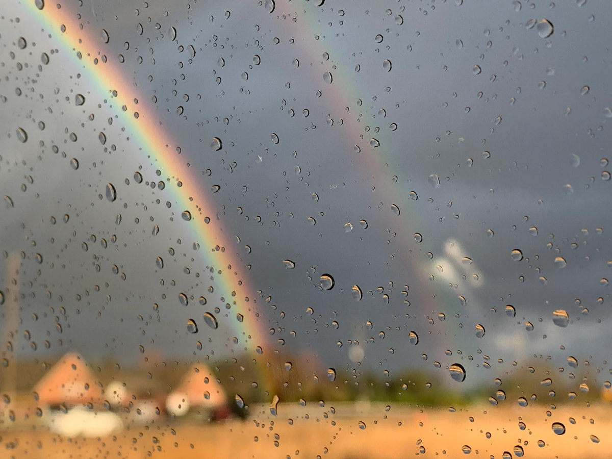 Can a Gluten-Free Diet Help Children with Apraxia of Speech? A Holistic Approach for Moms